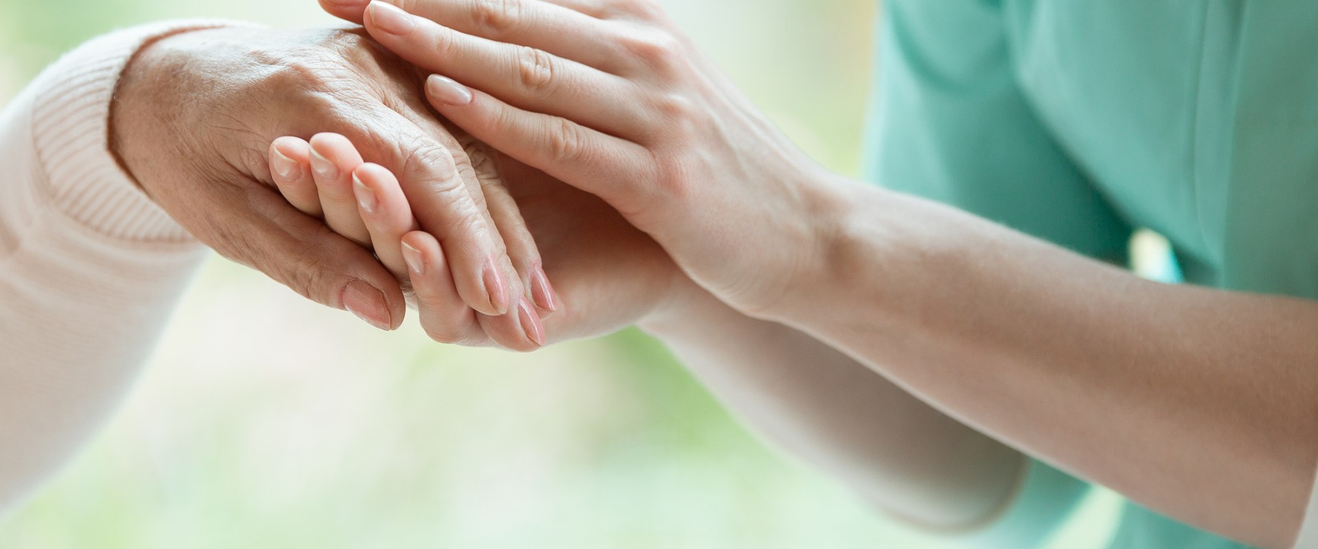 What are the main components of hospice care?