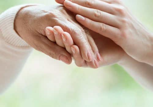 What are the components of hospice care?